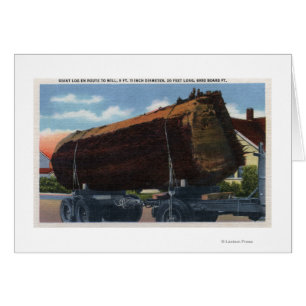 Seattle, WashingtonGiant Log en route to Mill