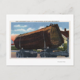 Seattle, WashingtonGiant Log en route to Mill Postcard