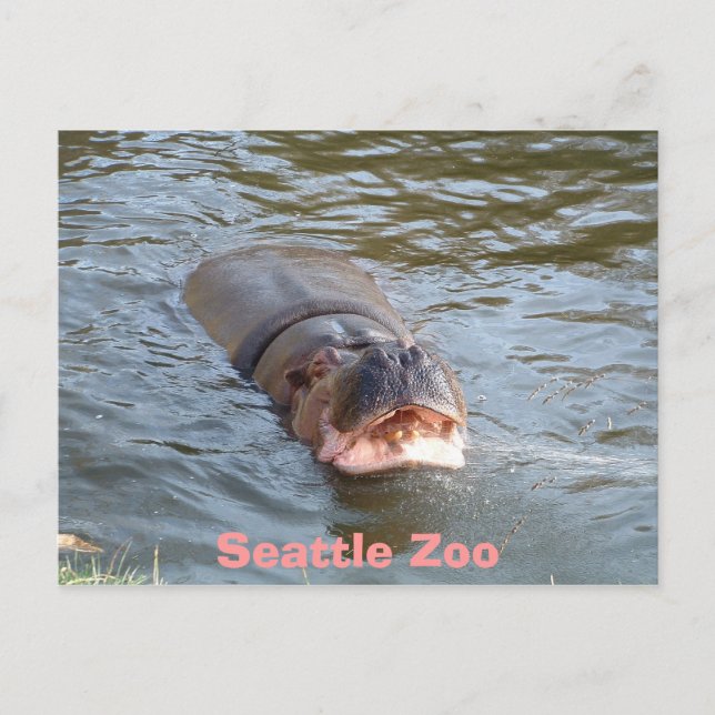 Seattle Zoo Postcard (Front)