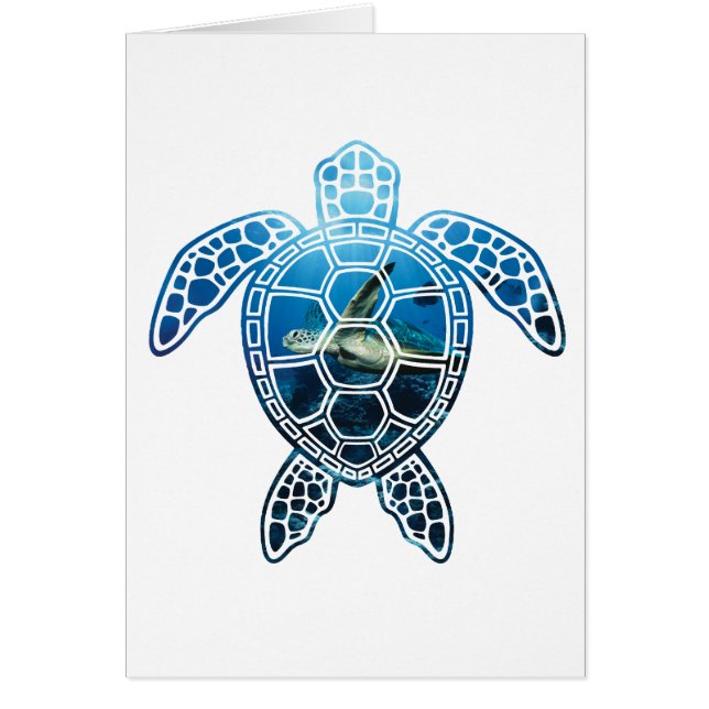 seaturtle-2 (Front)
