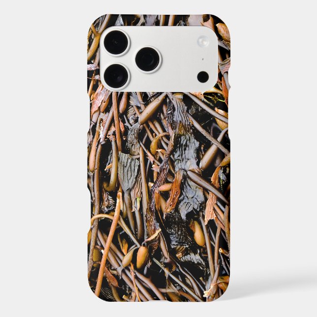 Seaweed (Back)