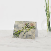 Seaweed, Cape Cod card (blank)