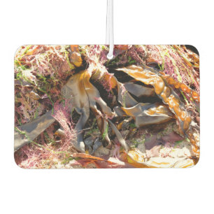 SEAWEED CAR AIR FRESHENER