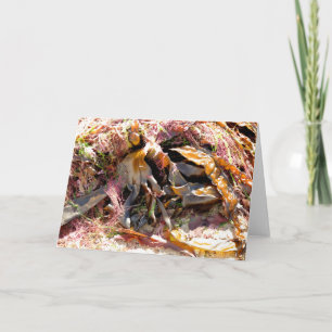 SEAWEED CARD