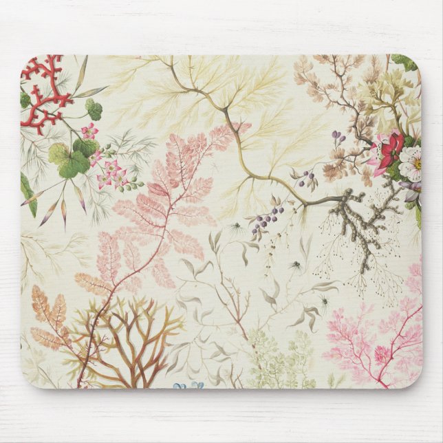 Seaweed design for silk material (w/c on paper) mouse pad (Front)