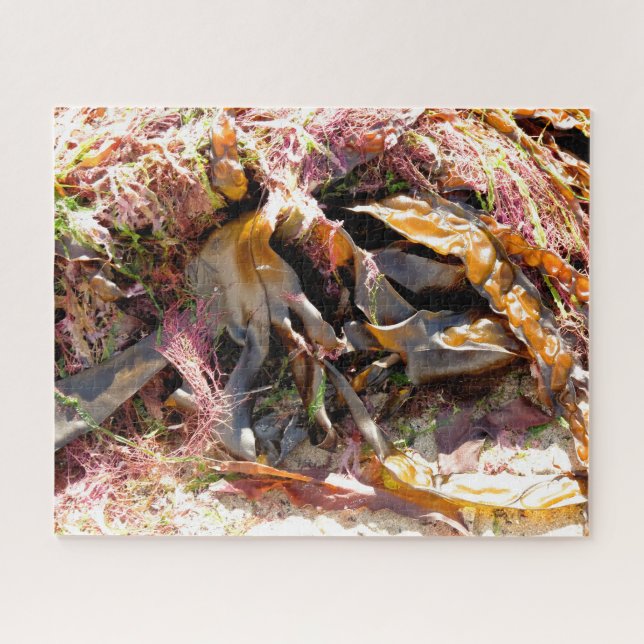 SEAWEED JIGSAW PUZZLE (Horizontal)