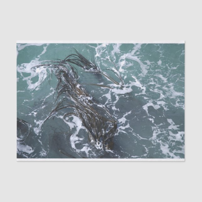 Seaweed Tissue Paper (Front)