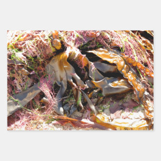 SEAWEED WRAPPING PAPER SHEET