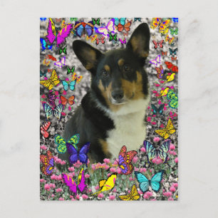 Sebastian the Welsh Corgi in Butterflies Postcard