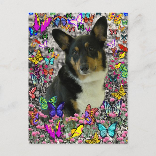 Sebastian the Welsh Corgi in Butterflies Postcard (Front)