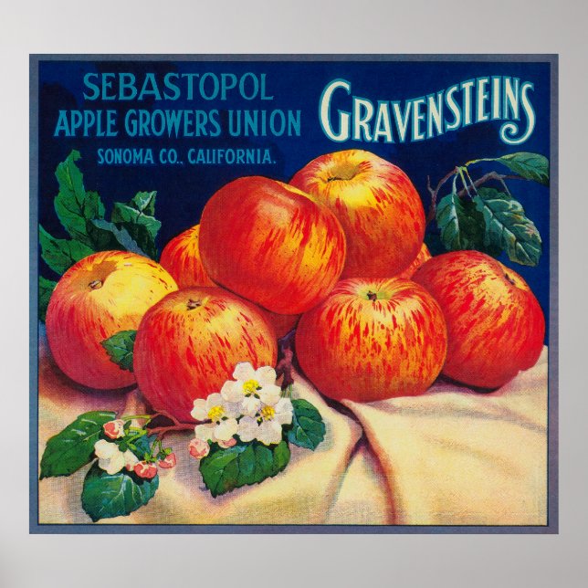 Sebastopol Gravensteins Apple LabelSonoma, CA Poster (Front)