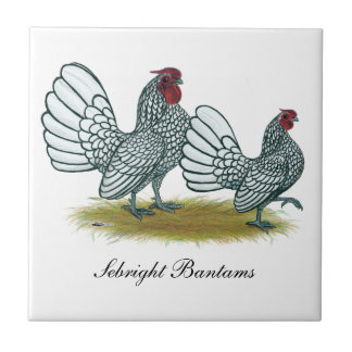 Sebright Bantams: Silver Tile