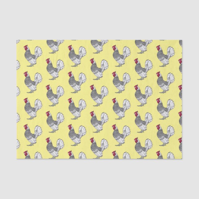 Sebright chicken cartoon illustration tissue paper (Front)