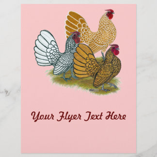 Sebright Rooster Assortment Flyer