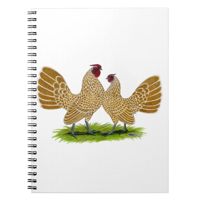 Sebrights Buff Laced Spiral Notebook (Front)
