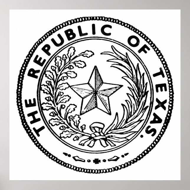 Secede Republic of Texas Poster (Front)