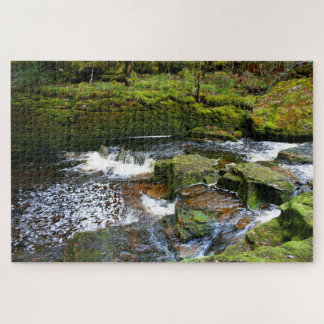 Secluded creek, Tasmania, Australia Jigsaw Puzzle