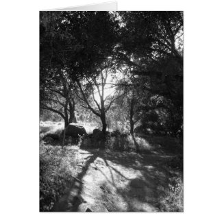 Seclusion Card