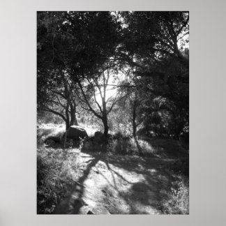 Seclusion Poster