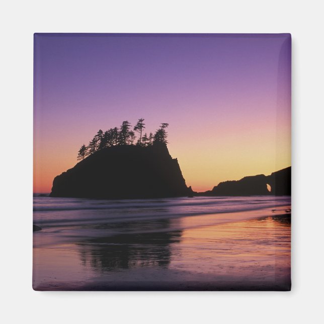 Second Beach at Twilight, Olympic NP, WA, USA Magnet (Front)