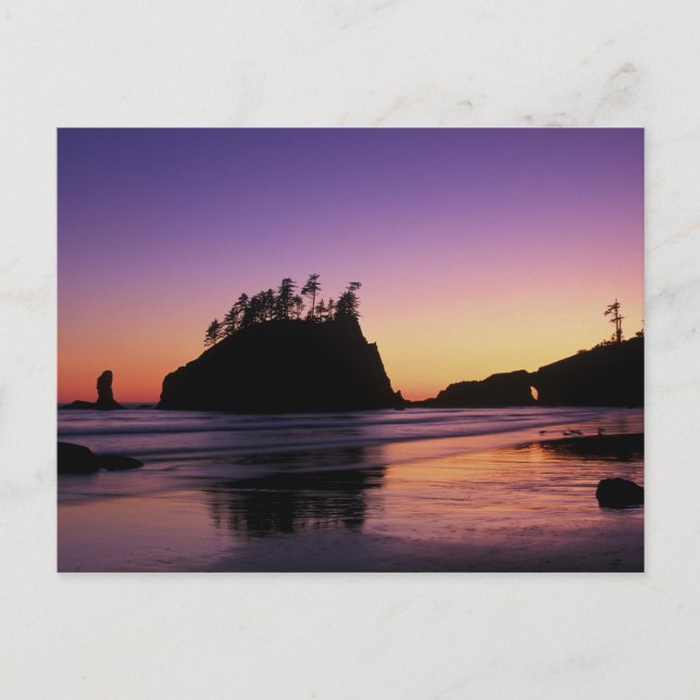 Second Beach at Twilight, Olympic NP, WA, USA Postcard (Front)