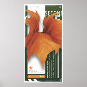 SECOND SEASON (Poster) Poster