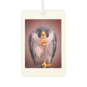 Secret Falcon Sherpa Throw Car Air Freshener