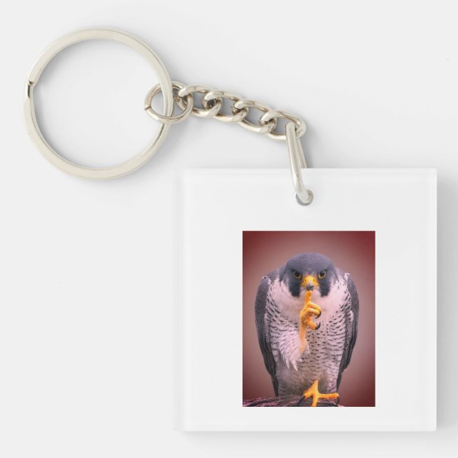 Secret Falcon Sherpa Throw Key Ring (Front)