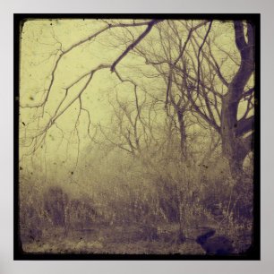 Secret Garden Poster