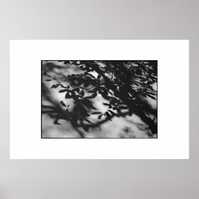 Secret Garden Poster (Front)