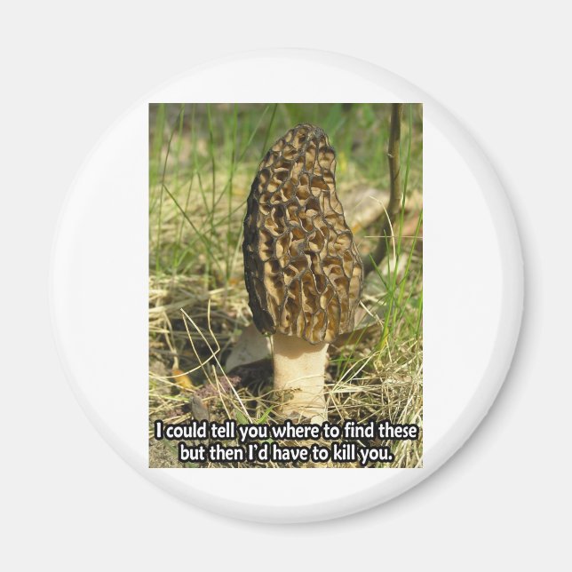 Secret of the Morel Hunter Magnet (Front)