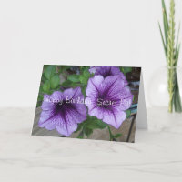 Secret Pal Petunia birthday