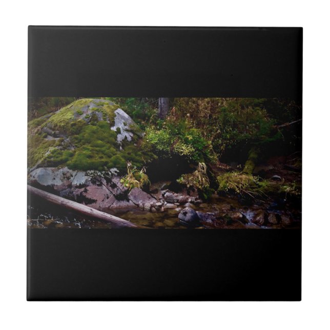 Secret Place Tile (Front)