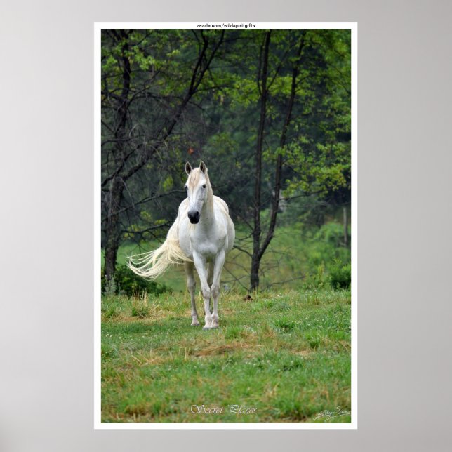 Secret Places White Horse in Field Poster (Front)