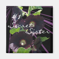 Secret, Sister Magnet-customise