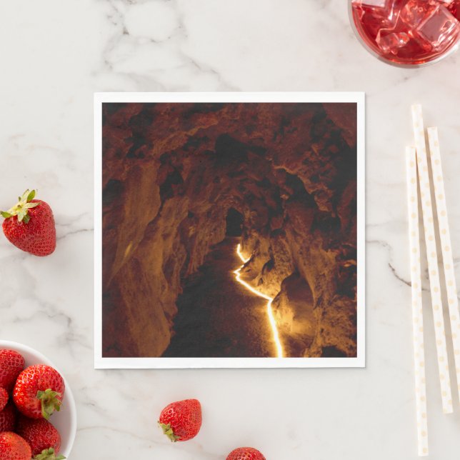 Secret Tunnel Napkin (Insitu)