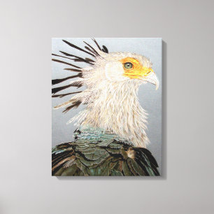 Secretary Bird Canvas Print