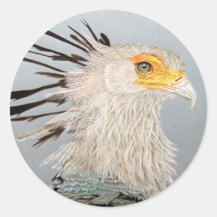 Secretary Bird Classic Round Sticker