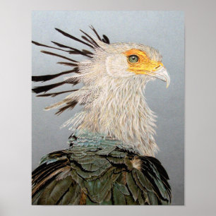 Secretary Bird Poster