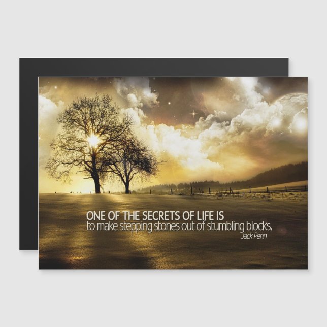 Secrets of Life (Front/Back)