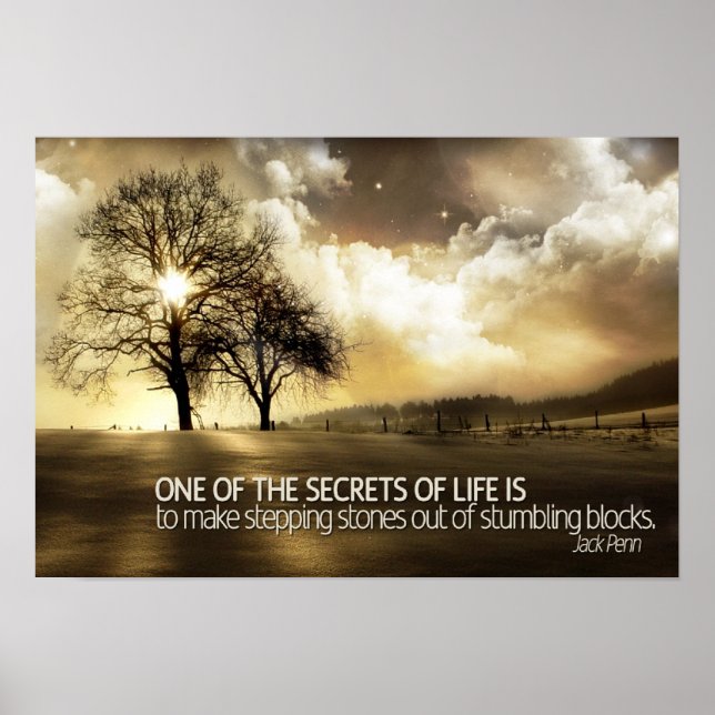 Secrets of Life Motivational Poster (Front)