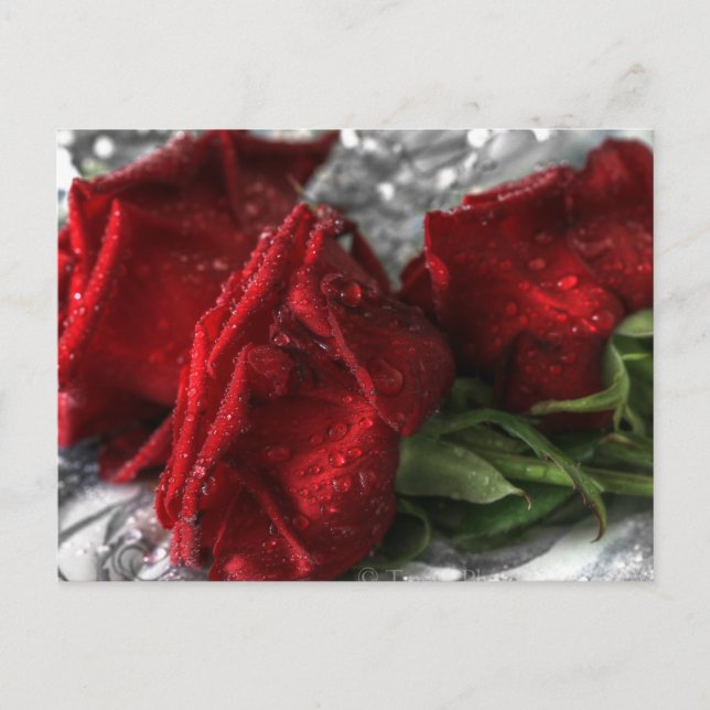 Secrets Postcard (Front)