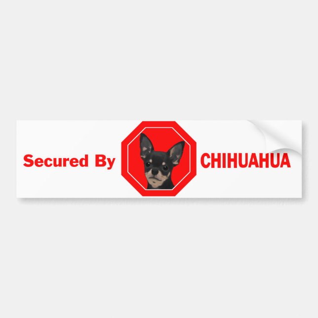 Secured by Chihuahua Bumper Sticker (Front)