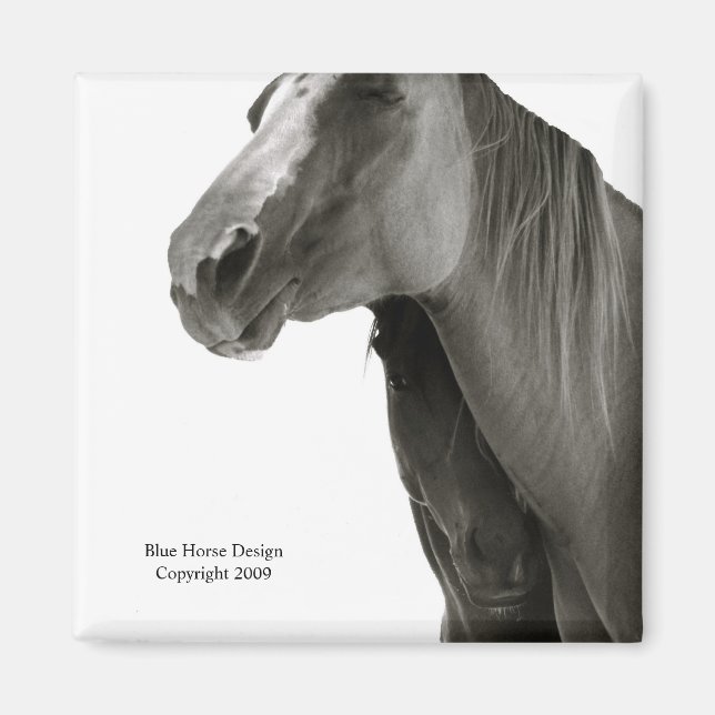 Security & Comfort Magnet (Front)