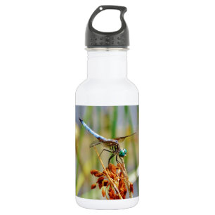 Sedge grass, and Dragonfly 532 Ml Water Bottle