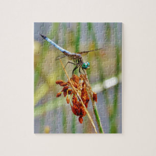 Sedge grass, and Dragonfly Jigsaw Puzzle