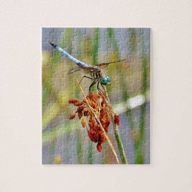 Sedge grass, and Dragonfly Jigsaw Puzzle (Vertical)