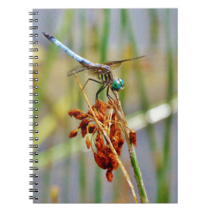 Sedge grass, and Dragonfly Spiral Notebook