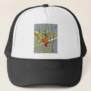 Sedge grass, and Dragonfly Trucker Hat
