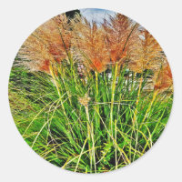 Sedge in the wind.    